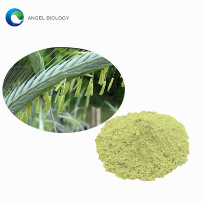 What is Rye Pollen Flower Pollen Extract Good For?
